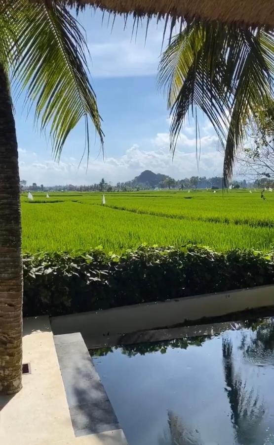 Crescent Moon Villa Ubud Eksteriør billede