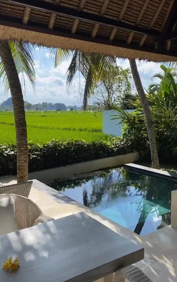 Crescent Moon Villa Ubud Eksteriør billede